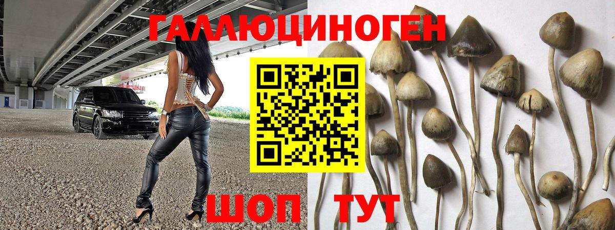 Псилоцибиновые грибы MAGIC MUSHROOMS Дзержинский