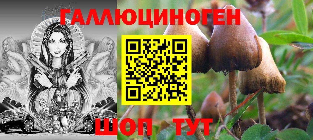 магазин продажи наркотиков  Вход с VPN  Дзержинский  Галлюциногенные грибы Magic Shrooms 